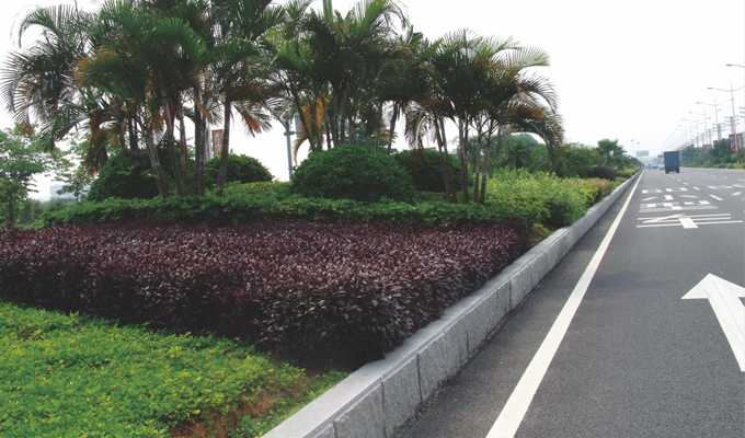 Guangzhou development zone road greening project of science and technology